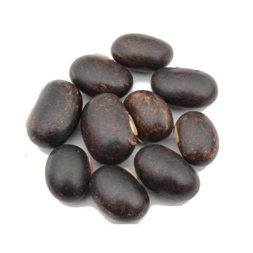 Mucuna Pruriens - velvet Beans